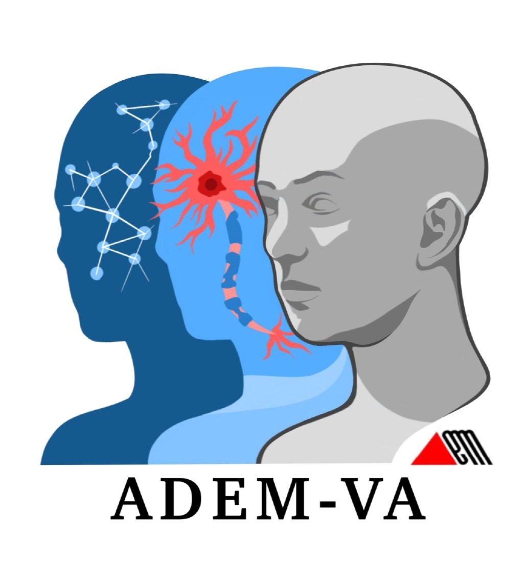 Asociación de Esclerosis Múltiple Virgen de los Desamparados (ADEM Valencia)