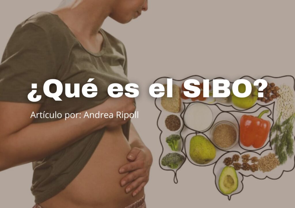 ¿Qué es el SIBO y cuáles son sus síntomas?